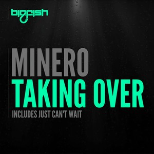 Taking Over (Original Mix)