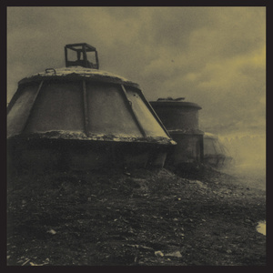 I Shall Marry Them Both