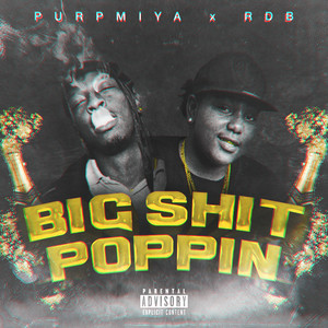 Big **** Poppin (Explicit)