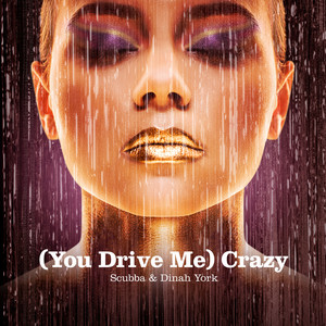 (You Drive Me) Crazy