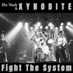 Fight the System (30th Anniversary Remix|Explicit)