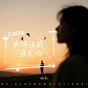 为何让我遇见你