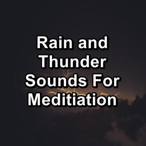 Gutter Rain and Thunder on a Tin Roof and Thunder To Help You Take A Nap