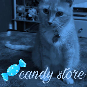 Candy Store (Explicit)