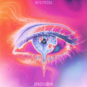 Into Pieces