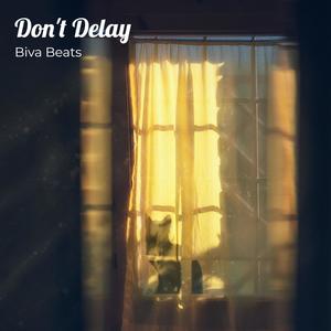 Biva Beats - Don't Delay