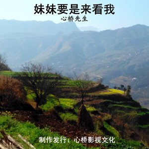 妹妹要是来看我