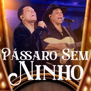 Pássaro Sem Ninho