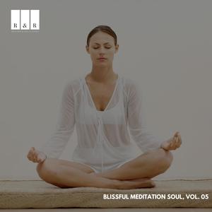 Blissful Meditation Soul, Vol. 05