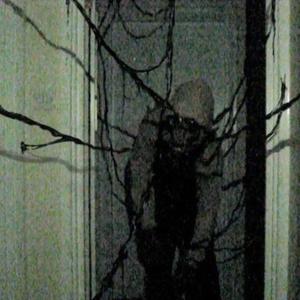 No, I'm Not a Human (slowed)