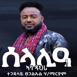 Selalia Aba Dahri (ሰላሊዓ ኣባ ዳህሪ)