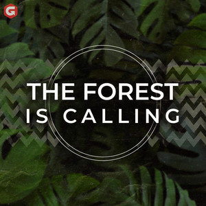 The Forest Is Calling