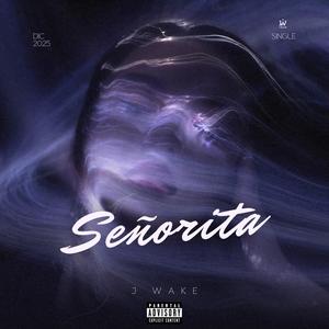 Señorita (Explicit)