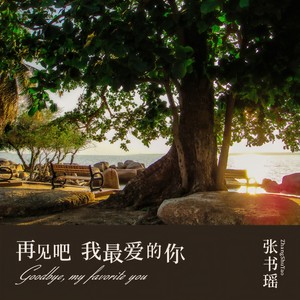 再见吧我最爱的你封面