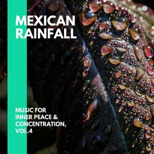 Mexican Rainfall - Music for Inner Peace & Concentration, Vol.4