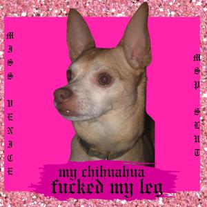 MY CHIHUAHUA ****ED MY LEG (Explicit)