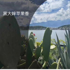 苹果香