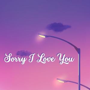 Sorry I Love You (Explicit)