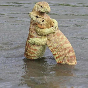 iLoveEry1 (Explicit)