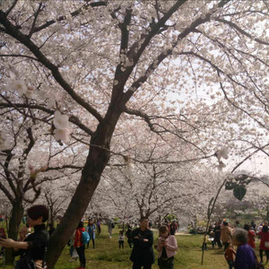 我们相遇春天里 (伴奏)