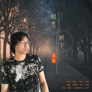 相思树下
