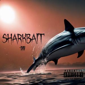 Shark Bait (Explicit)