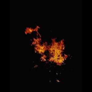 尘埃落定 (Demo)