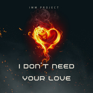 I Don't Need Your Love