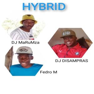 HYBRID (feat. DJ MaRuMza & Fedro M)