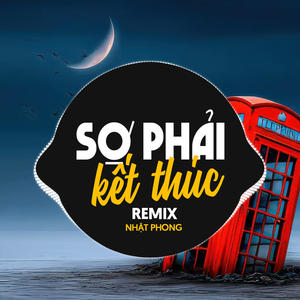Sợ Phải Kết Thúc (Remix Vinahouse)