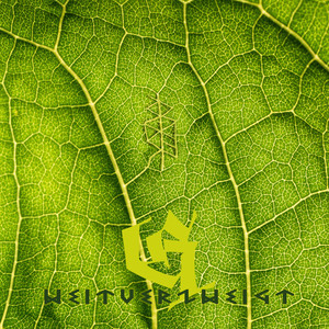 Danke gut so Outro (Explicit)