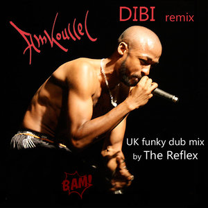 Dibi (The Reflex)