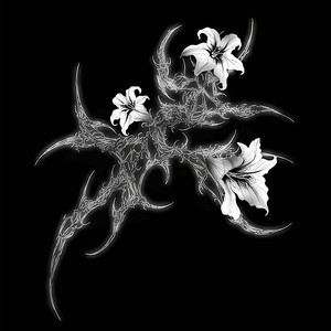 fading lights-Enkei&FlowerBoyDeMii&L1M3