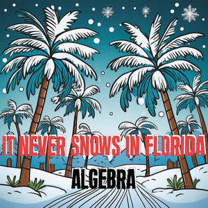 It Never Snows In Florida