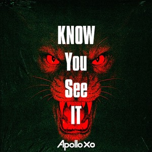 Know You See It (Extended Mix|Explicit)