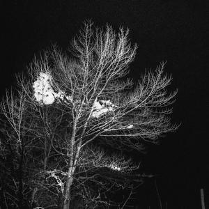 WITHOUT YOU (Explicit)