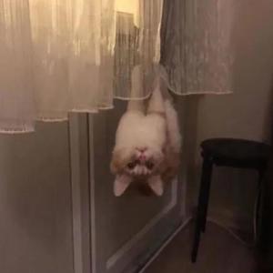 run him down (Explicit)