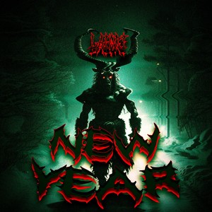 NEW YEAR (Guitar Version)