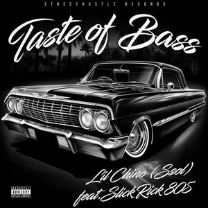 Taste Of Bass (feat. Slick Rick 805) (Explicit)