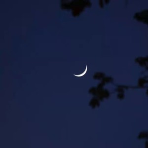 今 晚 夜 色 真 美