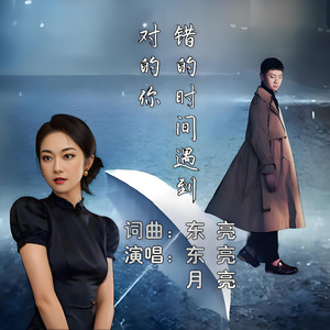 错的时间遇到对的你  伴奏 (伴奏)