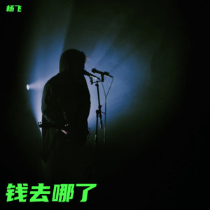 钱去哪了 (Live)