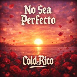 No Sea Perfecto