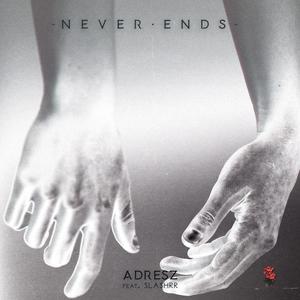 Never Ends (feat. slashrr)