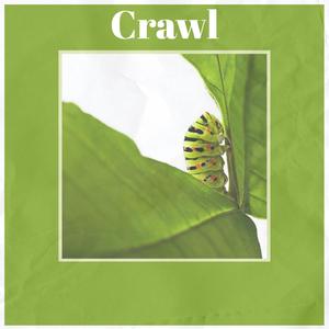 Crawl