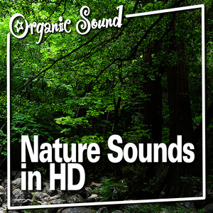 Nature Sounds in Hd