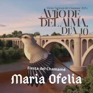Soy misionera chamamecera (En Vivo)