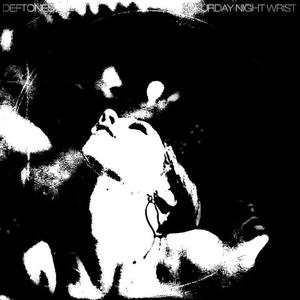 Serenade (feat. luvfredo) (Explicit)