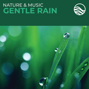 Gentle Rain