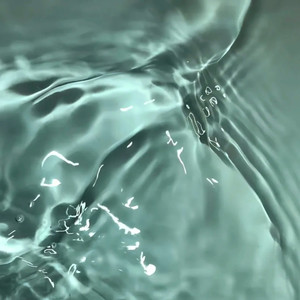 落花有意随流水